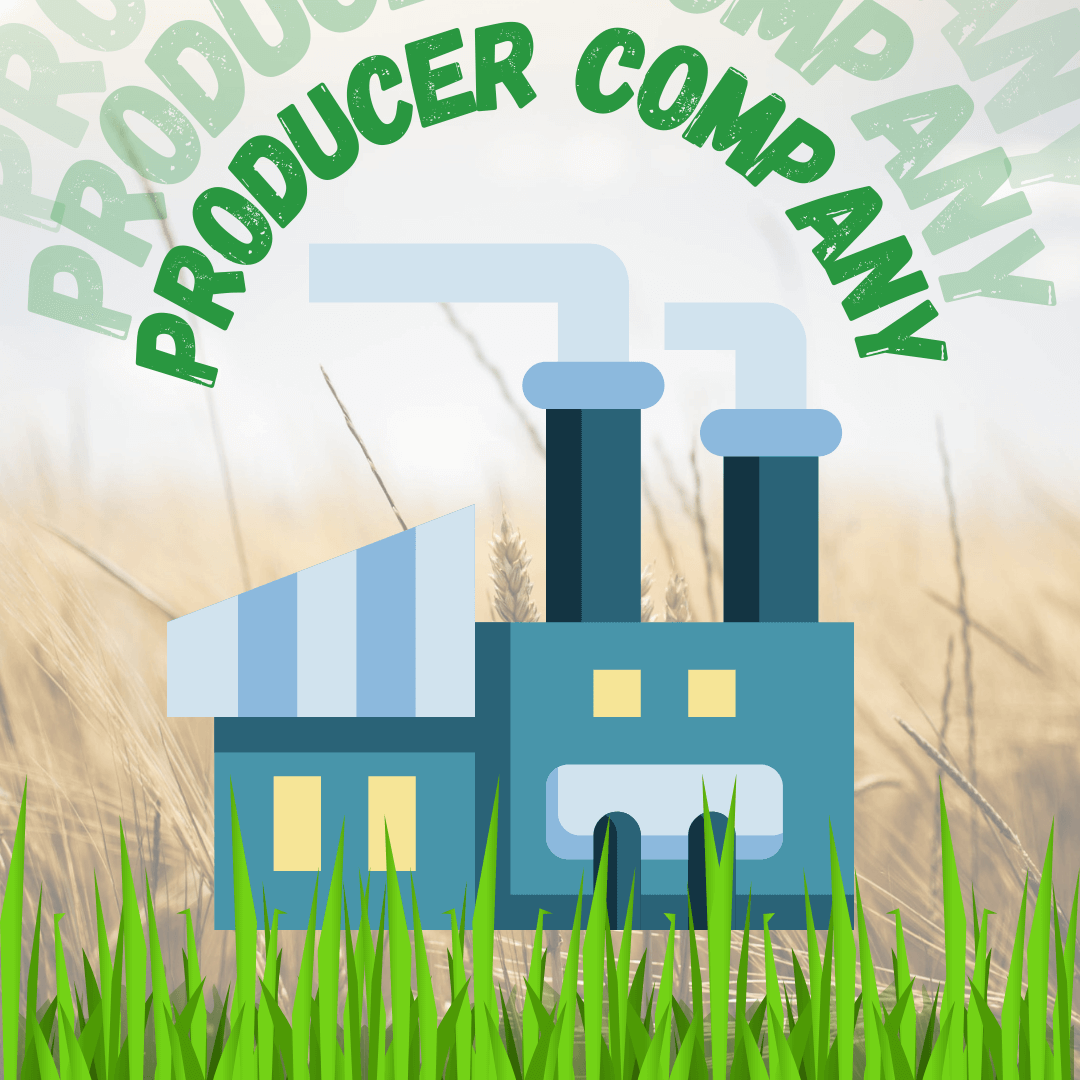Producer company, Primary producers